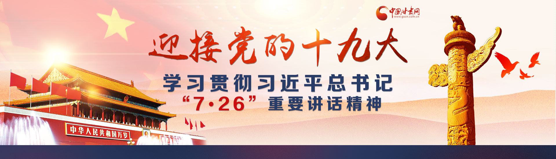 迎接党的十九大 学习贯彻习近平总书记“7.26”重要讲话精神