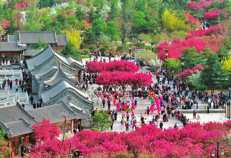 万紫
