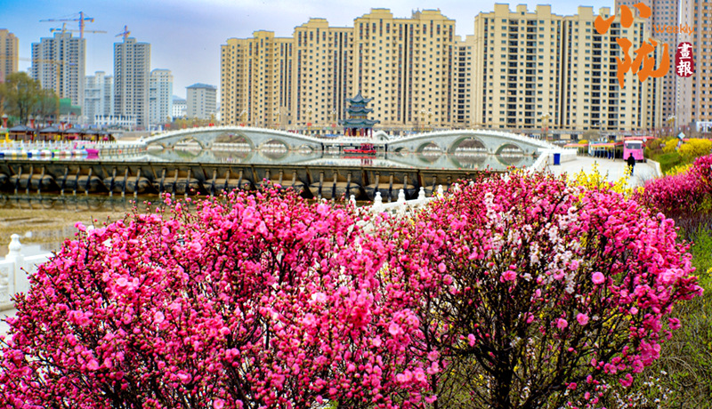 【小陇画报·496期】走进康乐：邂逅山水间的天然清凉