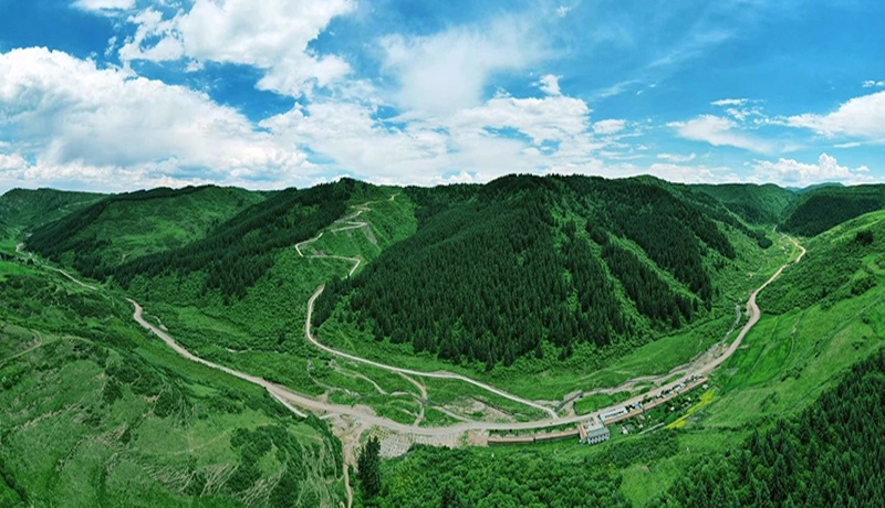 漳县：以绿为墨绘山河 逐绿而行启新程