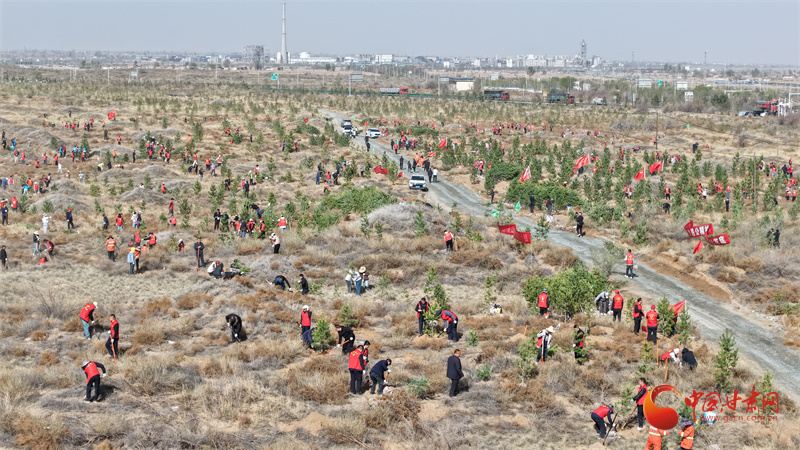 【甘快看】武威古浪林草治理成效显著 239.3万亩沙化土地添新绿