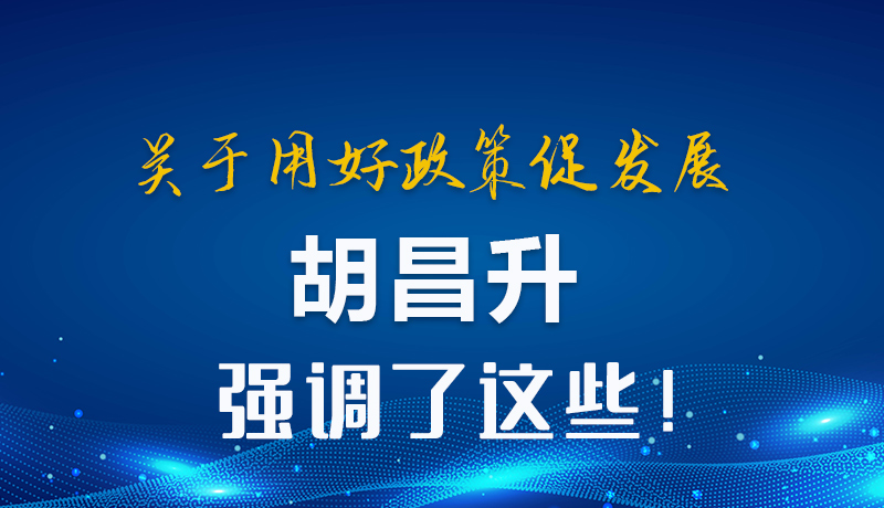 图解|关于用好政策促发展 胡昌升强调了这些!