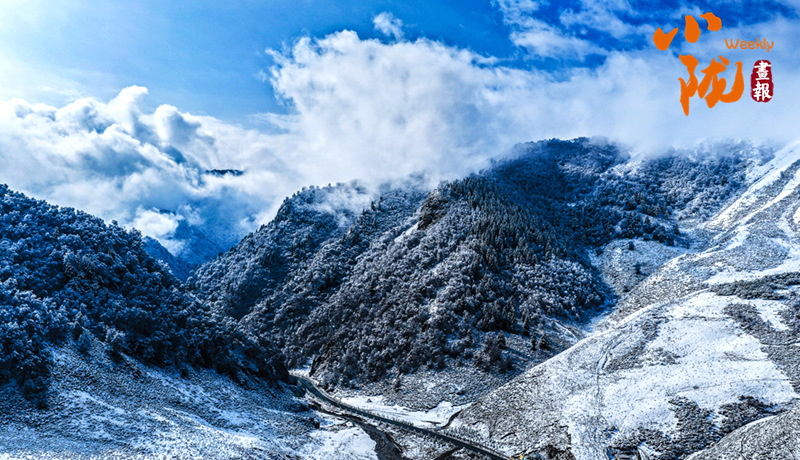 【小陇画报·472期】春雪落天祝 挥就一幅泼墨写意